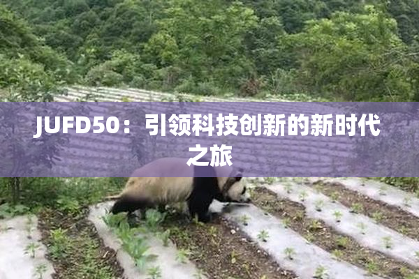 JUFD50：引领科技创新的新时代之旅