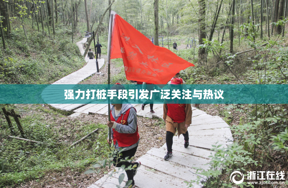 强力打桩手段引发广泛关注与热议