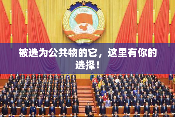 被选为公共物的它，这里有你的选择！