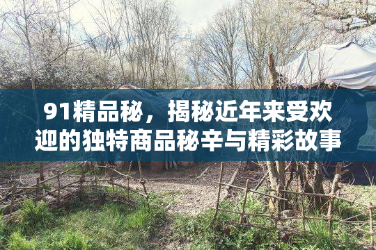 91精品秘，揭秘近年来受欢迎的独特商品秘辛与精彩故事