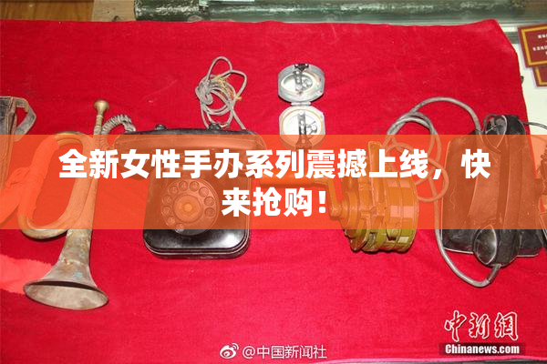 全新女性手办系列震撼上线，快来抢购！