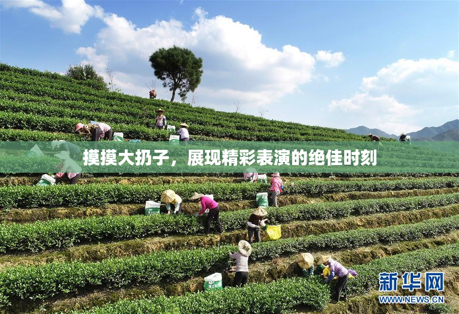 摸摸大扔子，展现精彩表演的绝佳时刻