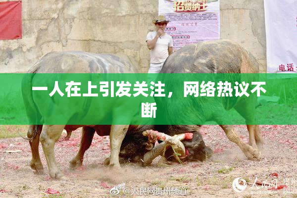 一人在上引发关注，网络热议不断
