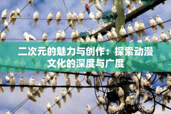 二次元的魅力与创作：探索动漫文化的深度与广度