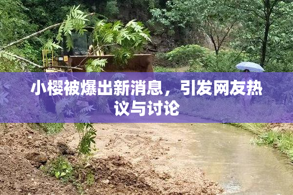 小樱被爆出新消息，引发网友热议与讨论