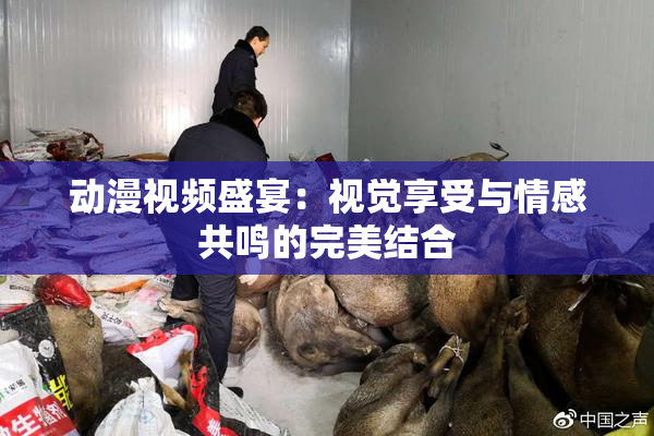 动漫视频盛宴：视觉享受与情感共鸣的完美结合