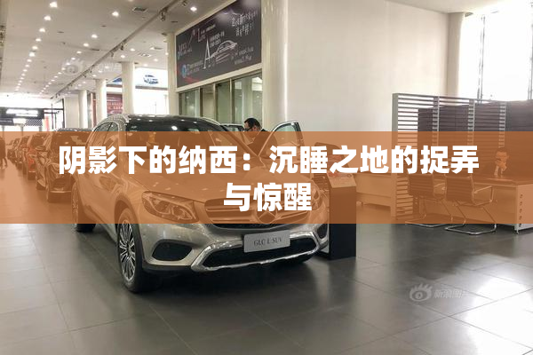 阴影下的纳西：沉睡之地的捉弄与惊醒
