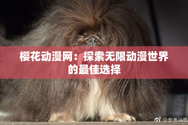 樱花动漫网：探索无限动漫世界的最佳选择