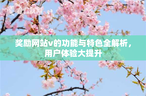 奖励网站v的功能与特色全解析，用户体验大提升