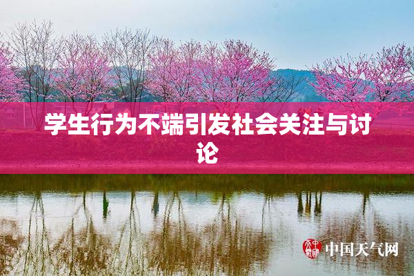 学生行为不端引发社会关注与讨论