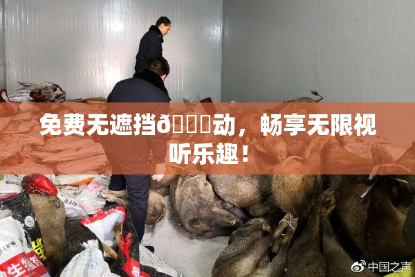 免费无遮挡🔞动，畅享无限视听乐趣！