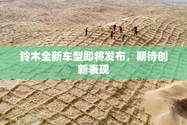 铃木全新车型即将发布，期待创新表现