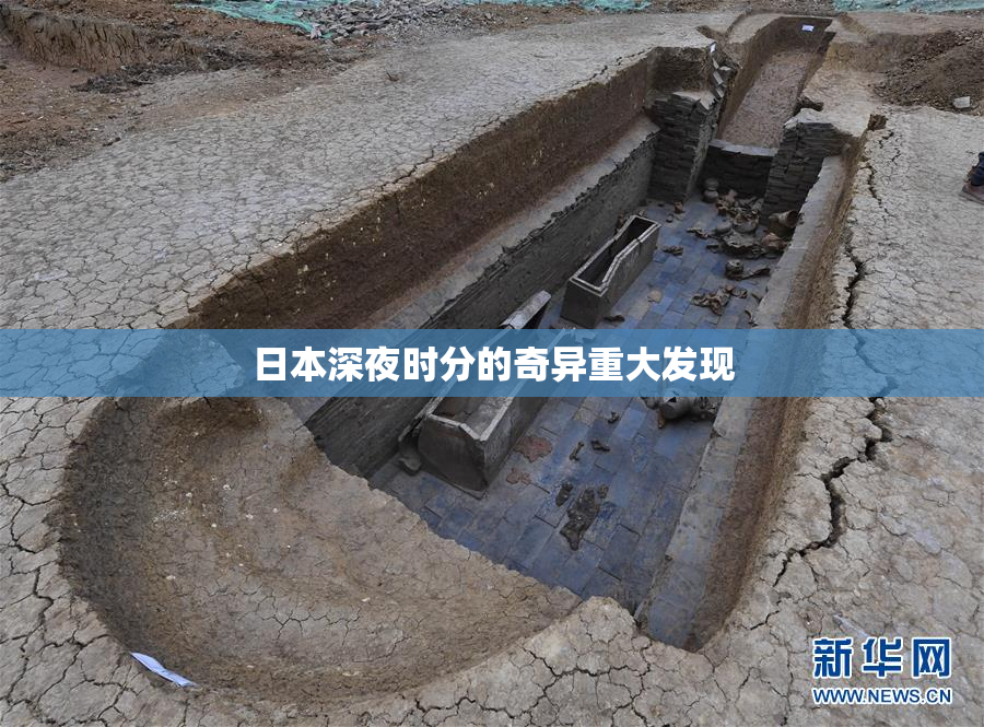 日本深夜时分的奇异重大发现