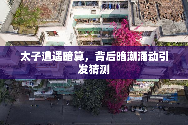 太子遭遇暗算，背后暗潮涌动引发猜测