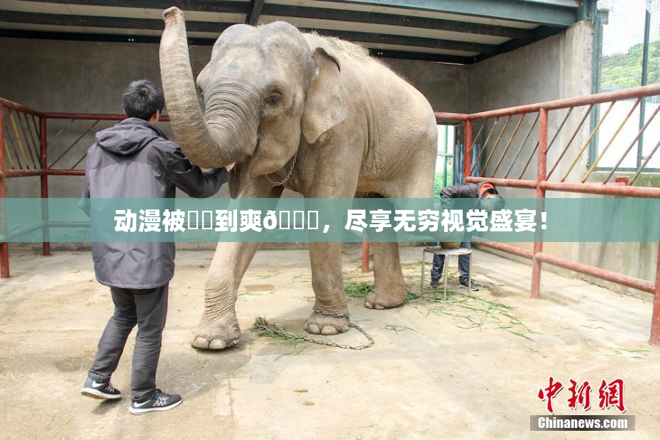 动漫被❌‌到爽🔞，尽享无穷视觉盛宴！