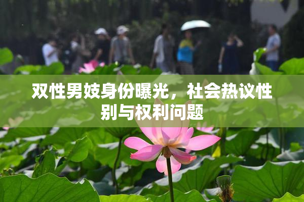 双性男妓身份曝光，社会热议性别与权利问题