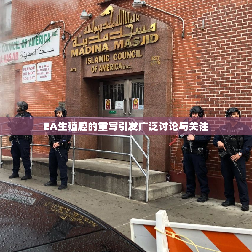 EA生殖腔的重写引发广泛讨论与关注