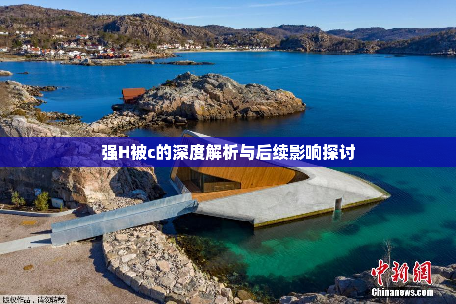 强H被c的深度解析与后续影响探讨