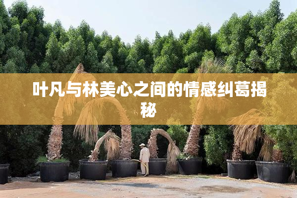 叶凡与林美心之间的情感纠葛揭秘