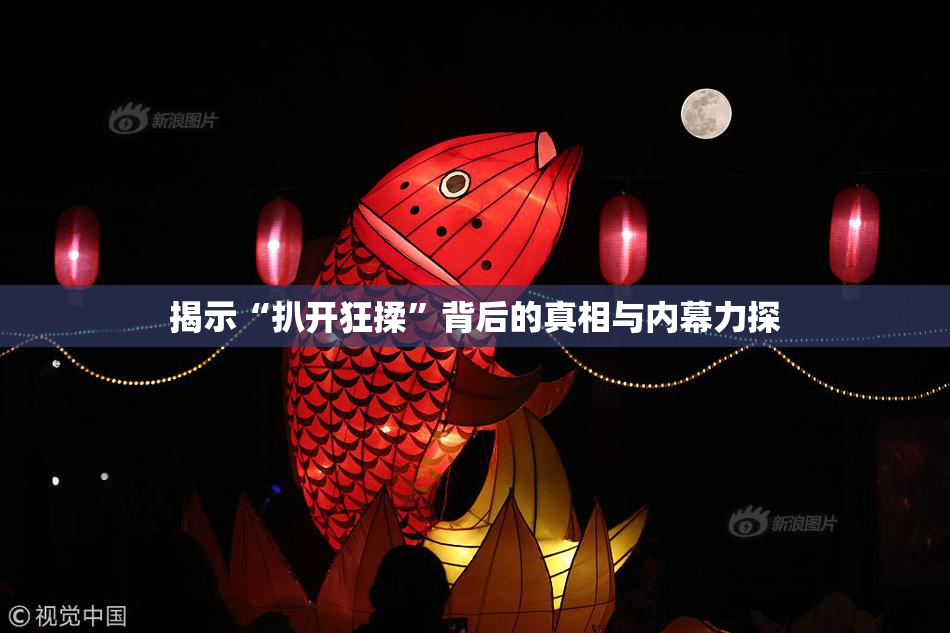 揭示“扒开狂揉”背后的真相与内幕力探