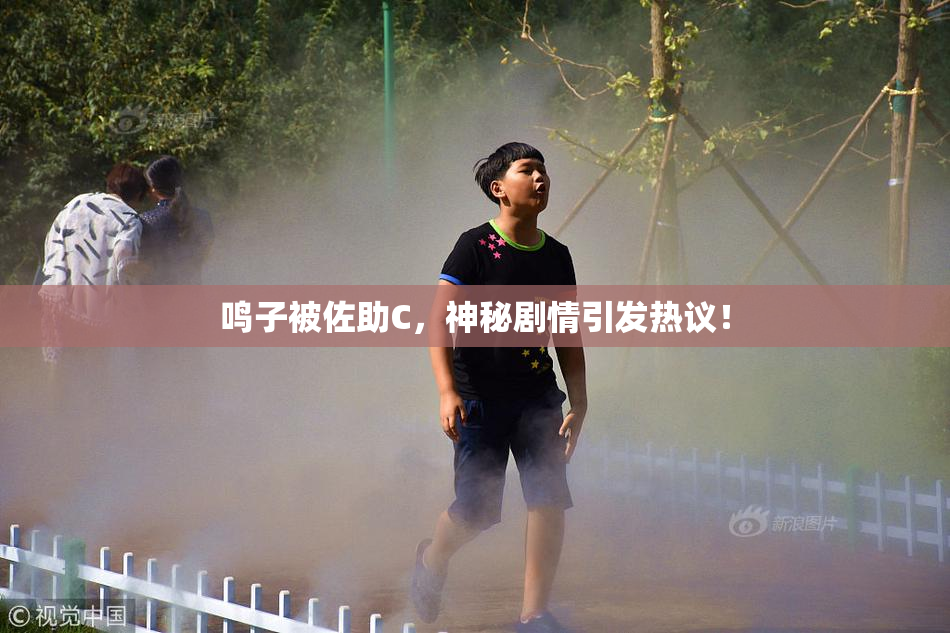 鸣子被佐助C，神秘剧情引发热议！