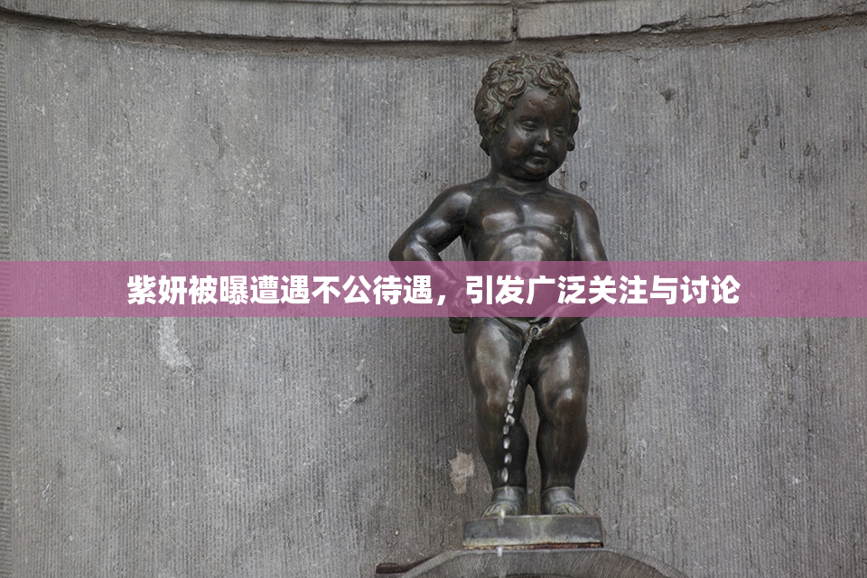 紫妍被曝遭遇不公待遇，引发广泛关注与讨论