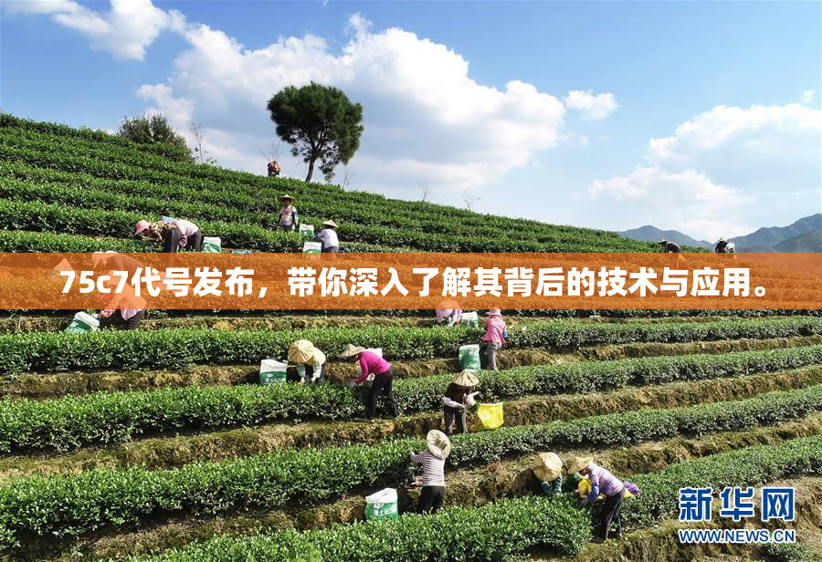 75c7代号发布，带你深入了解其背后的技术与应用。