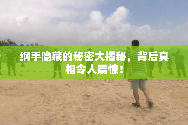 纲手隐藏的秘密大揭秘，背后真相令人震惊！
