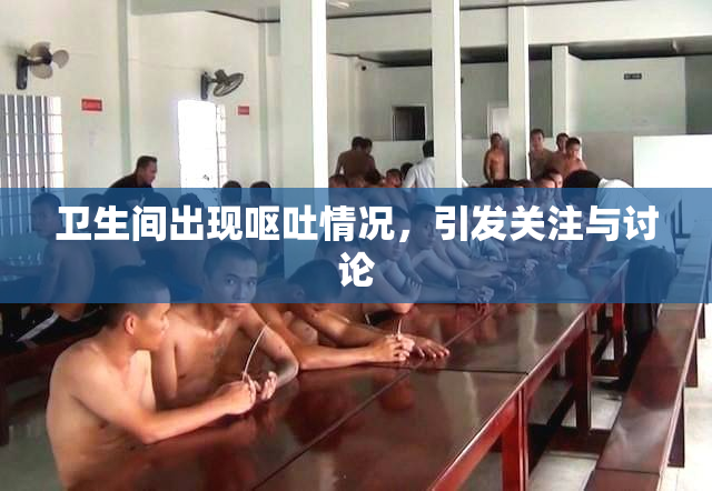 卫生间出现呕吐情况，引发关注与讨论