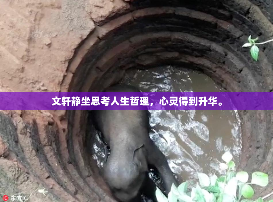 文轩静坐思考人生哲理，心灵得到升华。