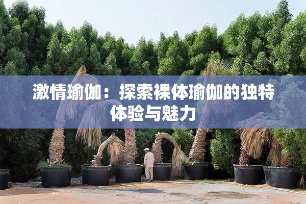 激情瑜伽：探索裸体瑜伽的独特体验与魅力