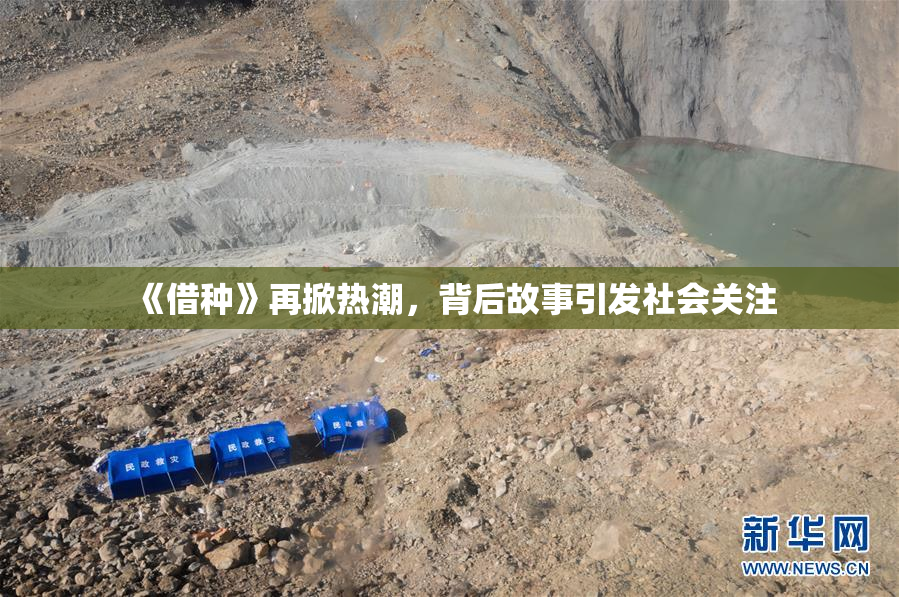 《借种》再掀热潮，背后故事引发社会关注