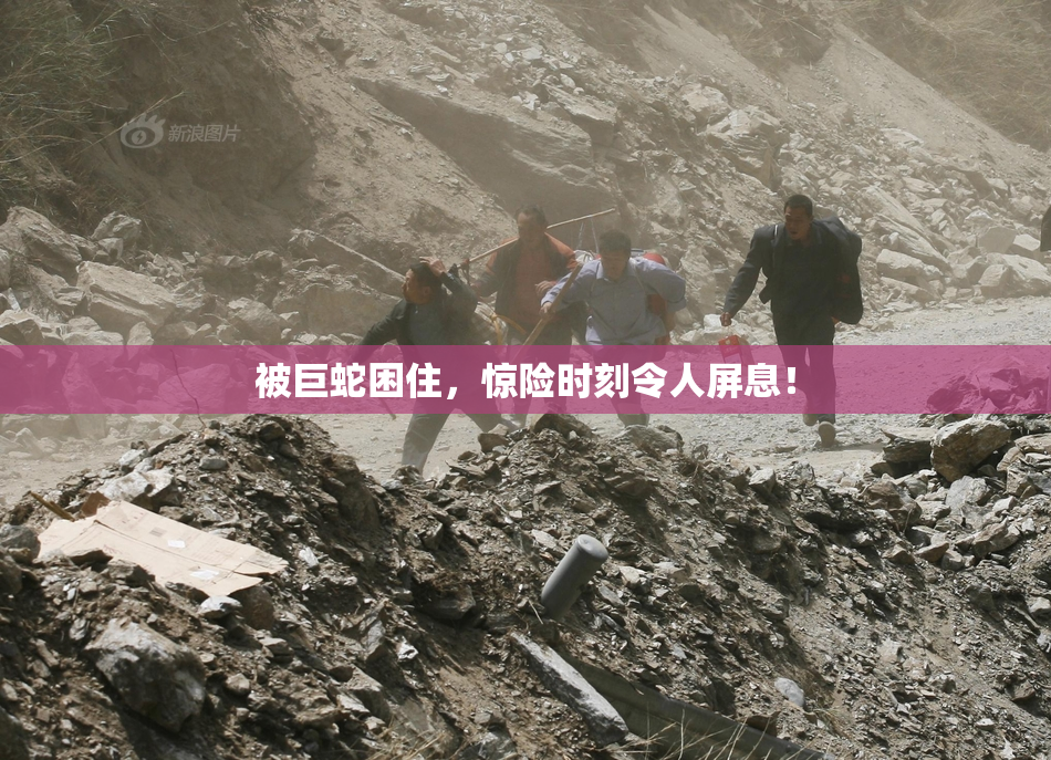 被巨蛇困住，惊险时刻令人屏息！