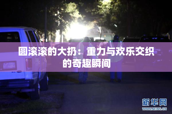 圆滚滚的大扔：重力与欢乐交织的奇趣瞬间
