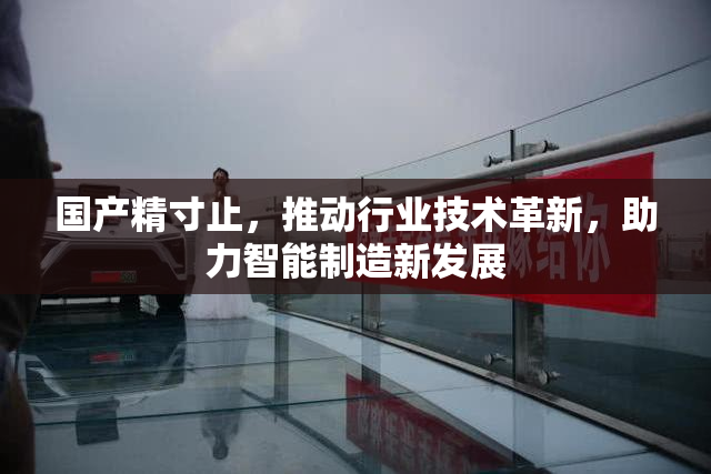 国产精寸止，推动行业技术革新，助力智能制造新发展