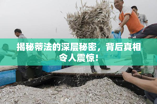 揭秘蒂法的深层秘密，背后真相令人震惊！
