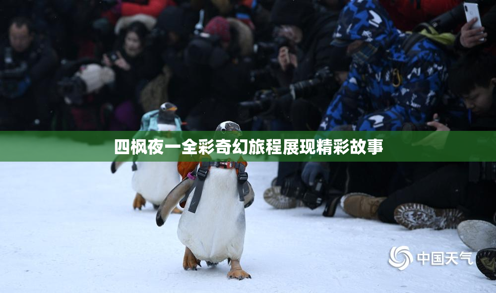 四枫夜一全彩奇幻旅程展现精彩故事