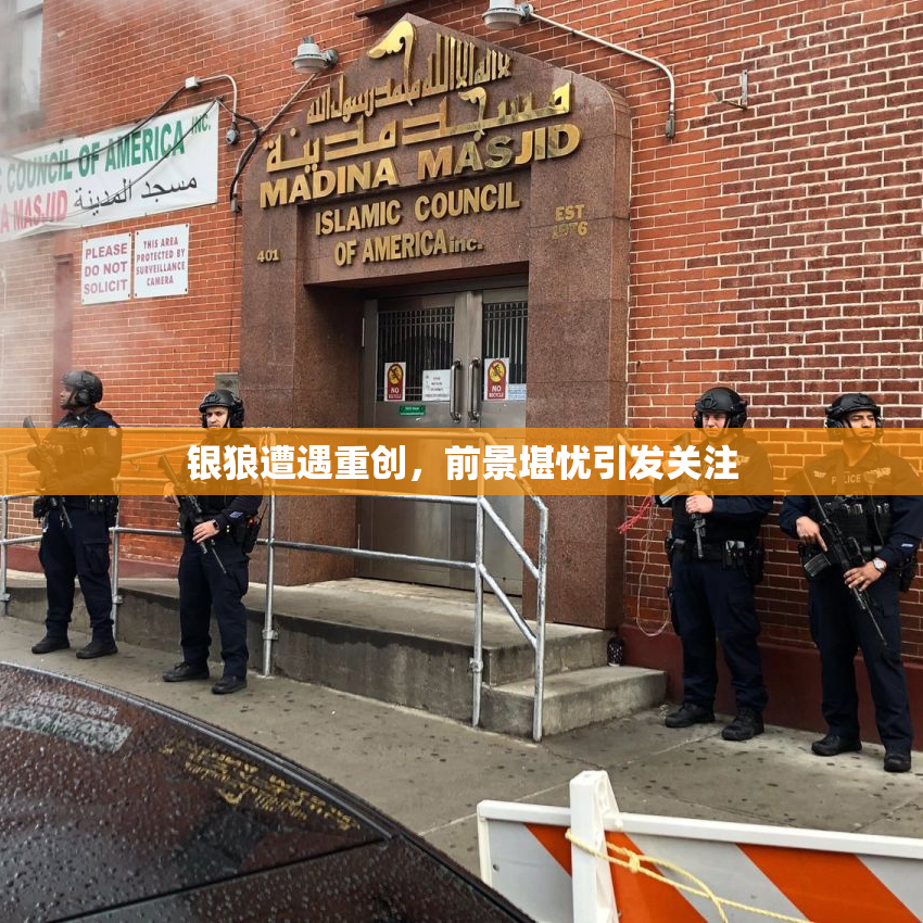 银狼遭遇重创，前景堪忧引发关注