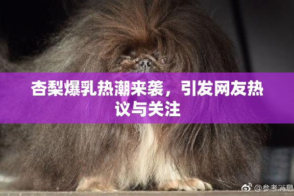 杏梨爆乳热潮来袭，引发网友热议与关注