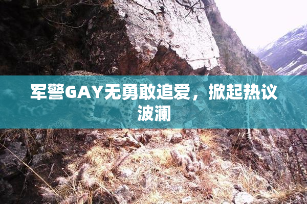 军警GAY无勇敢追爱，掀起热议波澜