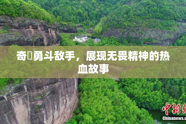 奇犽勇斗敌手，展现无畏精神的热血故事