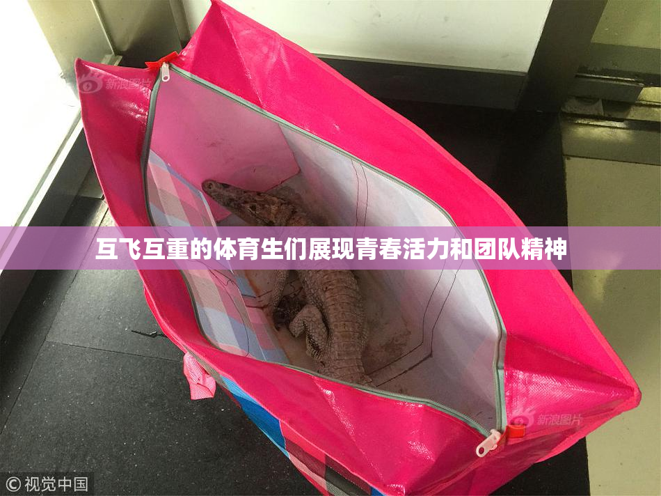 互飞互重的体育生们展现青春活力和团队精神