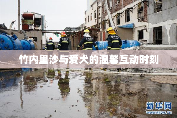 竹内里沙与爱犬的温馨互动时刻