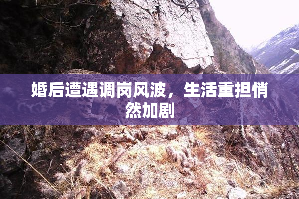 婚后遭遇调岗风波，生活重担悄然加剧