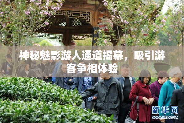 神秘魅影游人通道揭幕，吸引游客争相体验