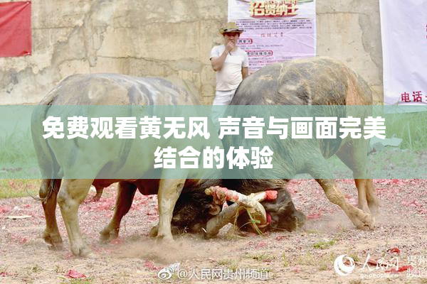免费观看黄无风 声音与画面完美结合的体验