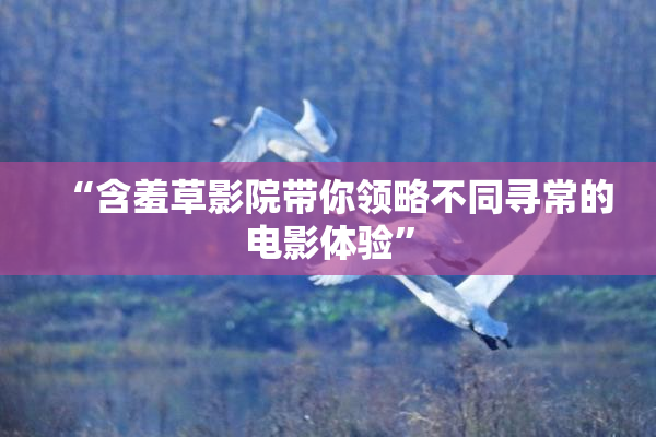 “含羞草影院带你领略不同寻常的电影体验”