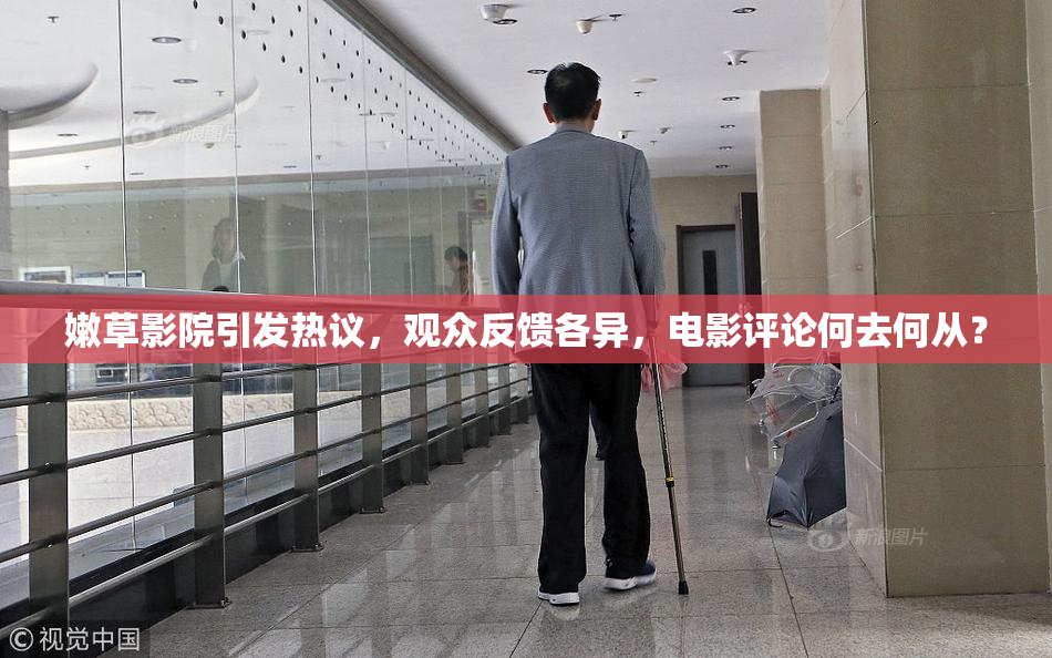 嫩草影院引发热议，观众反馈各异，电影评论何去何从？