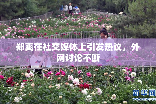 郑爽在社交媒体上引发热议，外网讨论不断