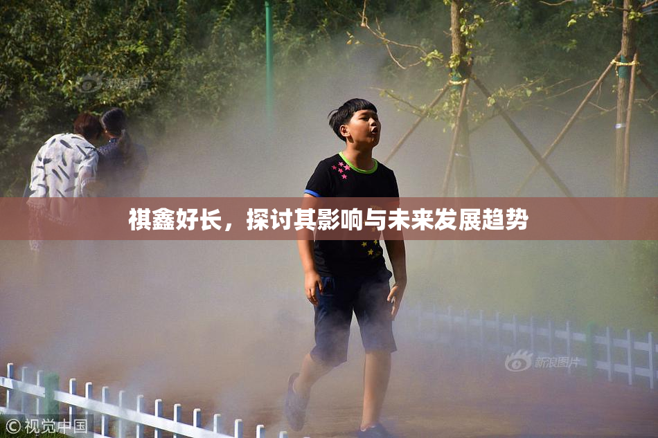 祺鑫好长，探讨其影响与未来发展趋势